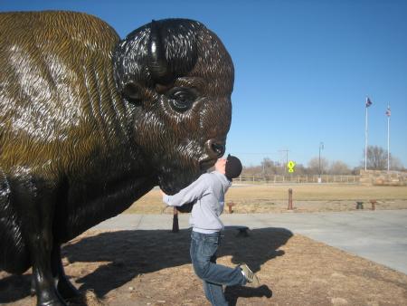 buffalo