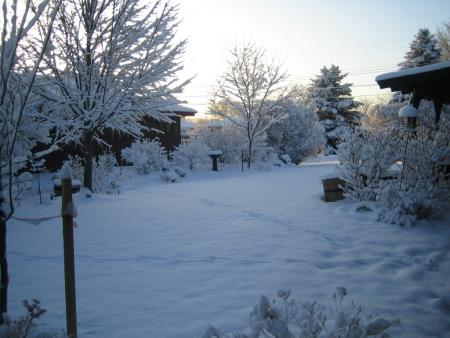 mon jardin